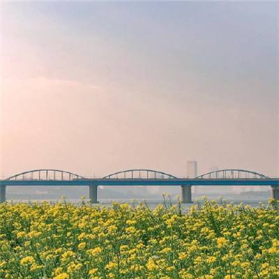 小米我在江湖手游下载